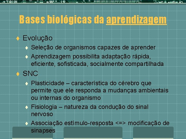 Bases biológicas da aprendizagem t Evolução t t t Seleção de organismos capazes de