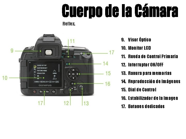 Reflex. 9. Visor Óptico 10. Monitor LCD 11. Rueda de Control Primaria 12. Interruptor