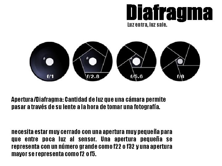 Luz entra, luz sale. Apertura/Diafragma: Cantidad de luz que una cámara permite pasar a