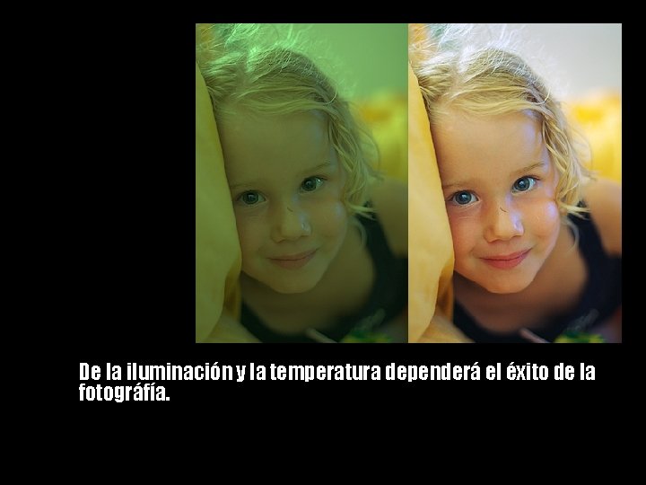 De la iluminación y la temperatura dependerá el éxito de la fotográfía. 