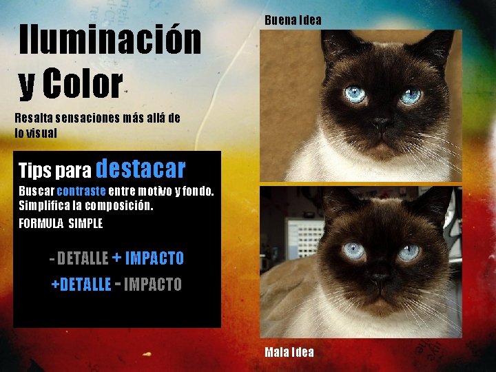 Iluminación y Color Buena Idea Resalta sensaciones más allá de lo visual Tips para