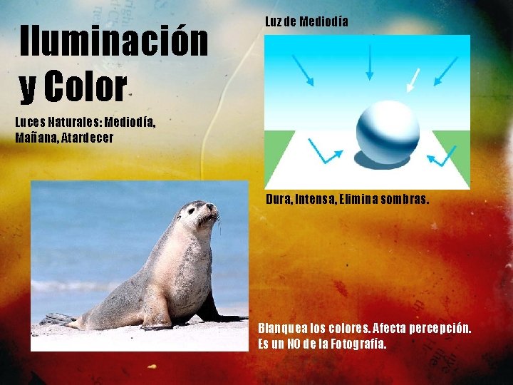 Iluminación y Color Luz de Mediodía Luces Naturales: Mediodía, Mañana, Atardecer Dura, Intensa, Elimina