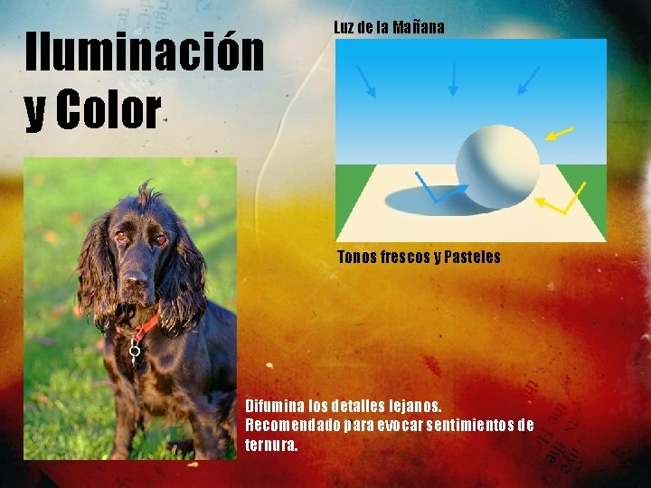 Iluminación y Color Luz de la Mañana Tonos frescos y Pasteles Difumina los detalles