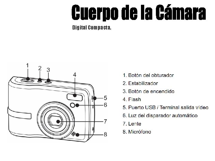 Digital Compacta. 