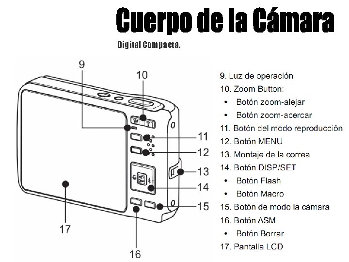 Digital Compacta. 