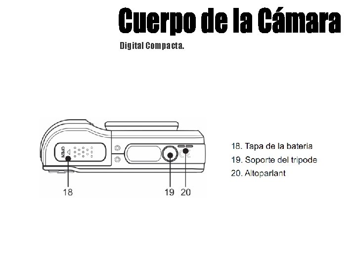 Digital Compacta. 