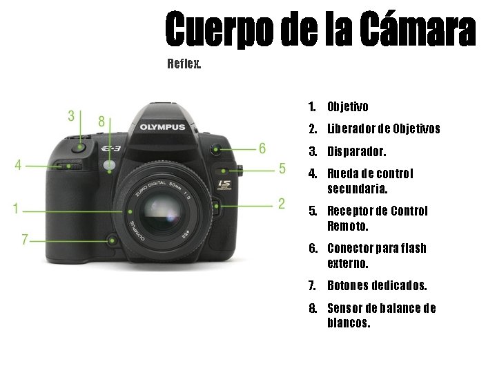 Reflex. 1. Objetivo 2. Liberador de Objetivos 3. Disparador. 4. Rueda de control secundaria.