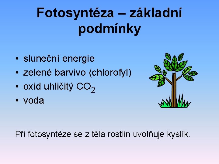 Fotosyntéza – základní podmínky • • sluneční energie zelené barvivo (chlorofyl) oxid uhličitý CO