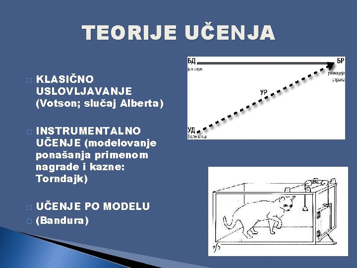 TEORIJE UČENJA � � KLASIČNO USLOVLJAVANJE (Votson; slučaj Alberta) INSTRUMENTALNO UČENJE (modelovanje ponašanja primenom