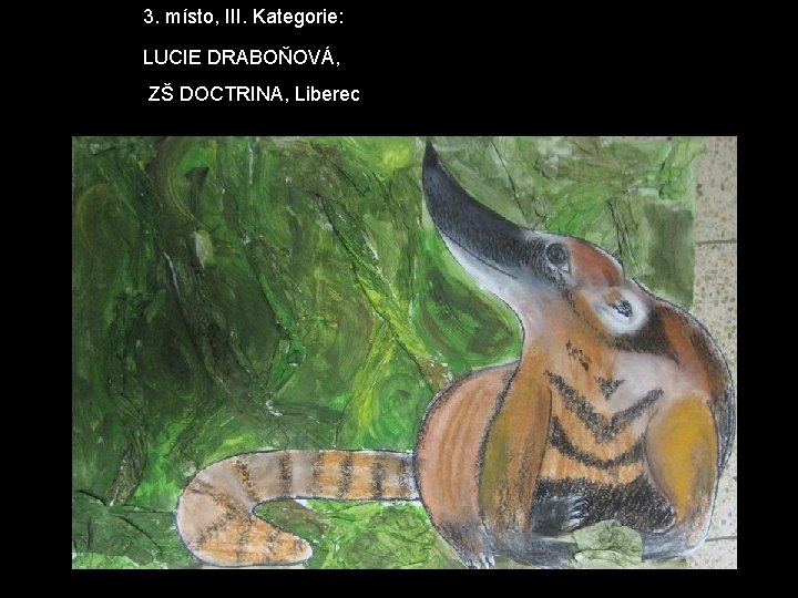 3. místo, III. Kategorie: LUCIE DRABOŇOVÁ, ZŠ DOCTRINA, Liberec 3. místo, III. Kategorie: LUCIE DRABOŇOVÁ, ZŠ DOCTRINA, Liberec