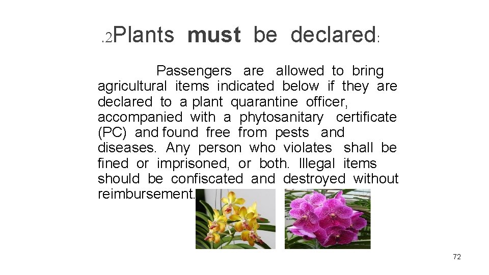 . 2 Plants must be declared: Passengers are allowed to bring agricultural items indicated