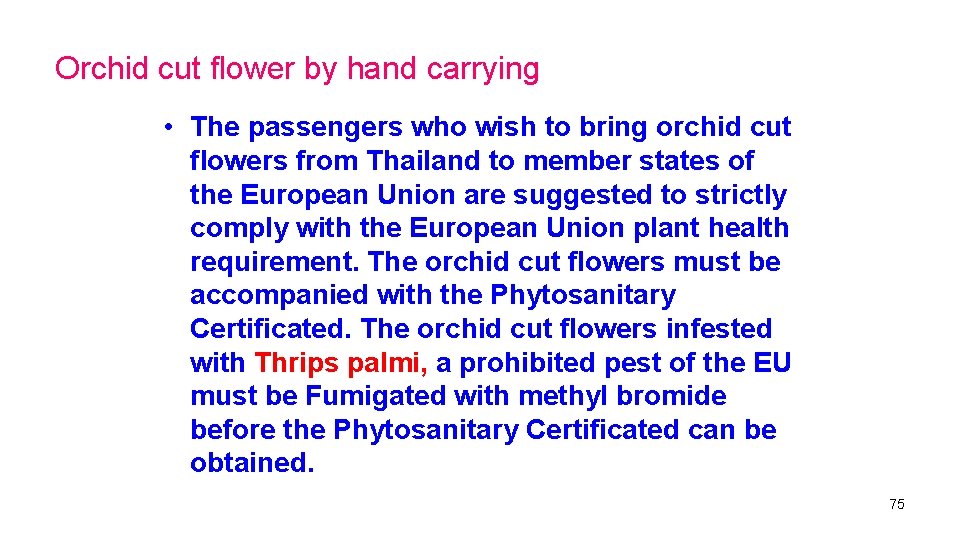 Orchid cut flower by hand carrying • The passengers who wish to bring orchid