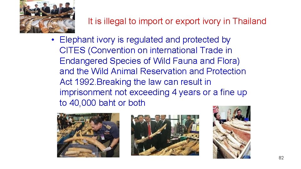  It is illegal to import or export ivory in Thailand • Elephant ivory