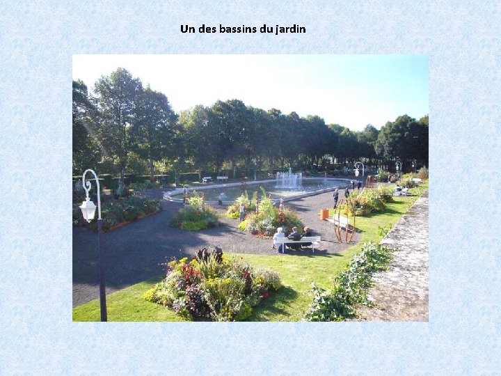 Un des bassins du jardin 