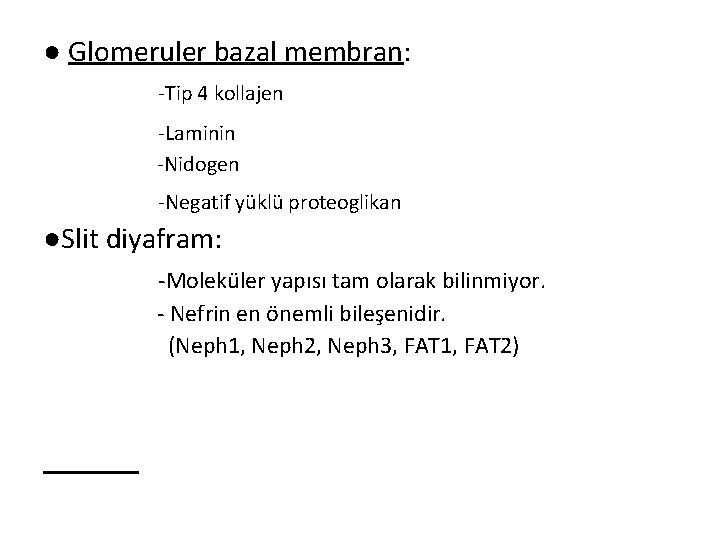 ● Glomeruler bazal membran: -Tip 4 kollajen -Laminin -Nidogen -Negatif yüklü proteoglikan ●Slit diyafram: