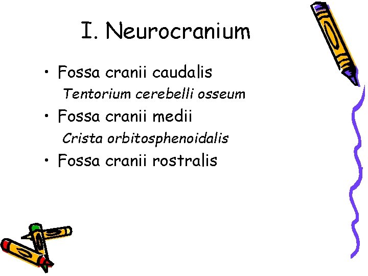 I. Neurocranium • Fossa cranii caudalis Tentorium cerebelli osseum • Fossa cranii medii Crista