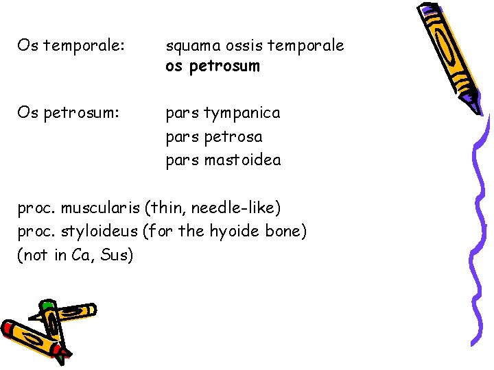 Os temporale: squama ossis temporale os petrosum Os petrosum: pars tympanica pars petrosa pars