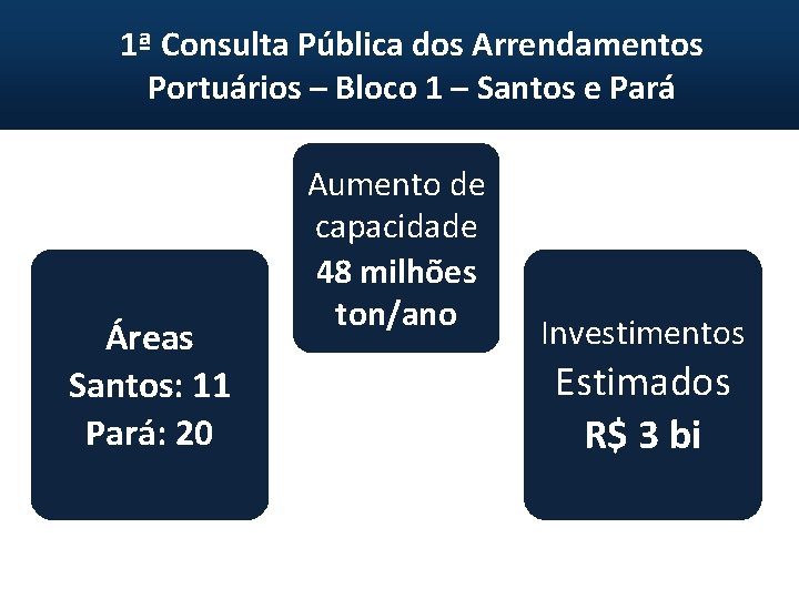 1ª Consulta Pública dos Arrendamentos Portuários – Bloco 1 – Santos e Pará Áreas