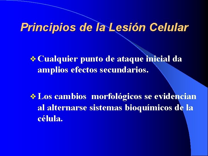 Principios de la Lesión Celular v Cualquier punto de ataque inicial da amplios efectos