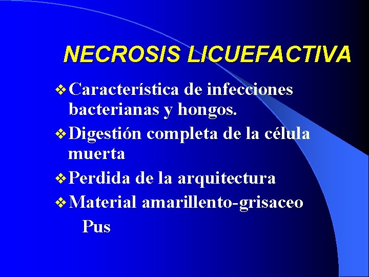 NECROSIS LICUEFACTIVA v Característica de infecciones bacterianas y hongos. v Digestión completa de la