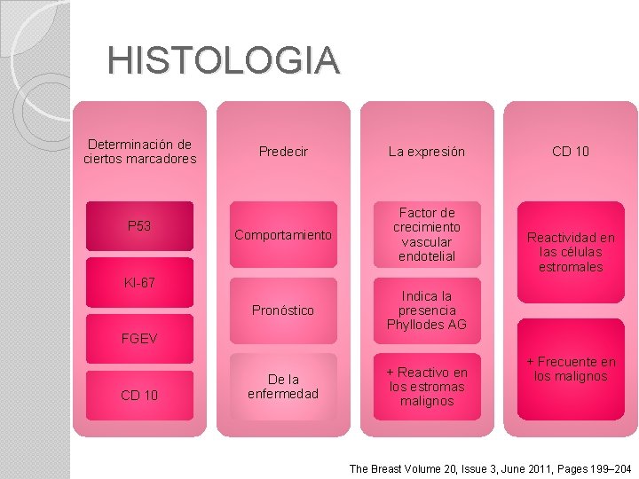 HISTOLOGIA Determinación de ciertos marcadores P 53 Predecir La expresión Comportamiento Factor de crecimiento