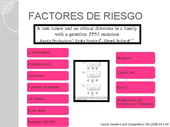 FACTORES DE RIESGO LI FRAUMENI Mutación Predisposición Sarcomas Codón 248 Tumores cerebrales Exon 7