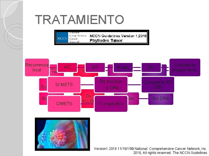 TRATAMIENTO Recurrencia HC local Sospecha de TP Bx S/ METS Excisional HC EF Masto