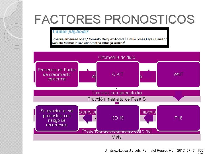 FACTORES PRONOSTICOS Citometría de flujo Presencia de Factor de crecimiento epidermal C-KIT Actividad de