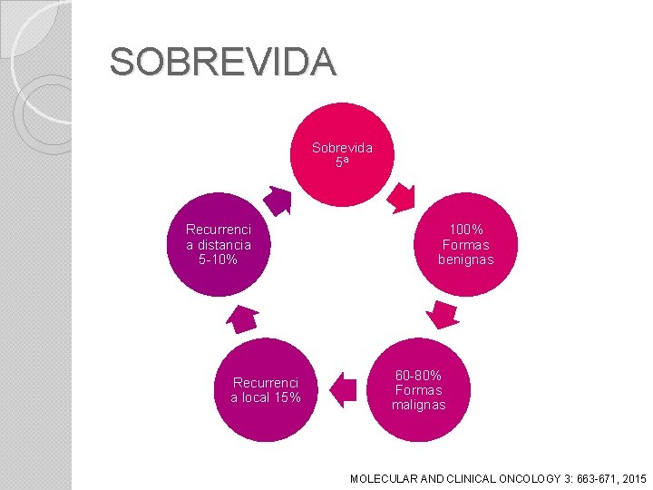 SOBREVIDA Sobrevida 5ª Recurrenci a distancia 5 -10% Recurrenci a local 15% 100% Formas