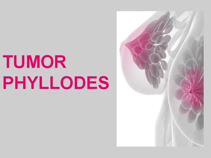 TUMOR PHYLLODES 