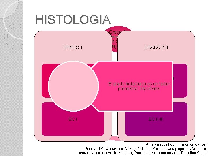 HISTOLOGIA GRADO 1 Pleomorfis mo Bien diferenciado EC I Celularidad Grado de diferenciaci ón