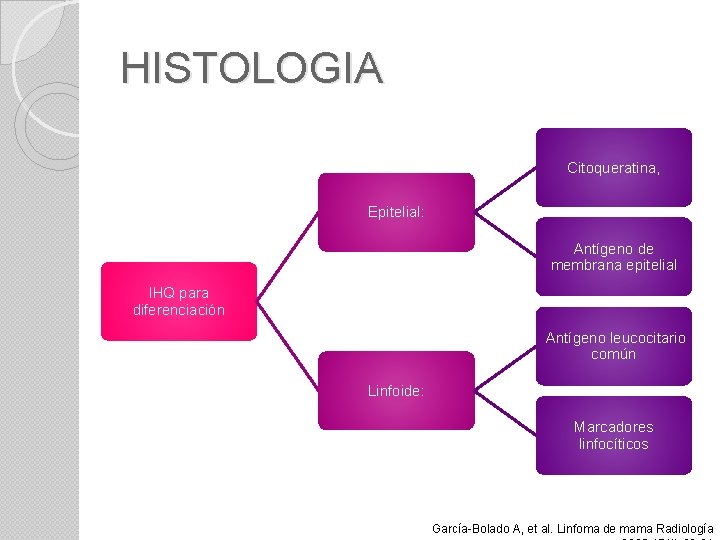 HISTOLOGIA Citoqueratina, Epitelial: Antígeno de membrana epitelial IHQ para diferenciación Antígeno leucocitario común Linfoide: