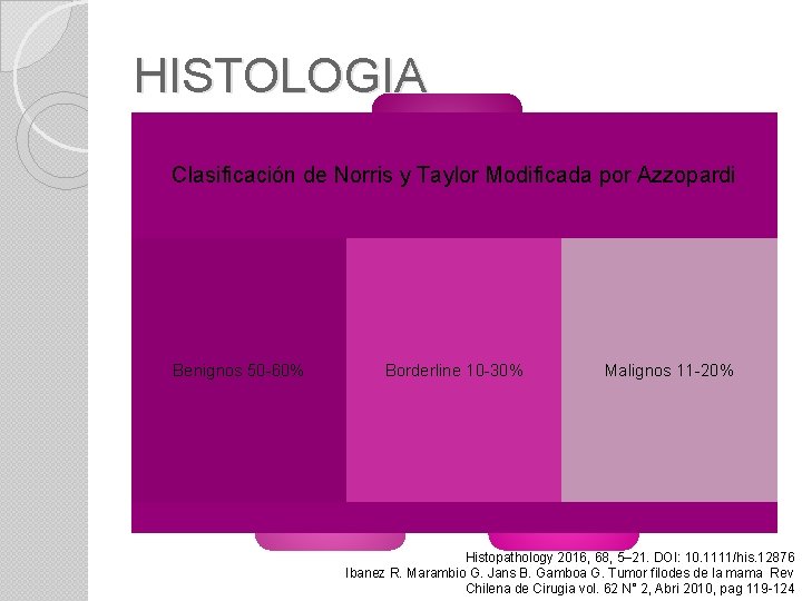 HISTOLOGIA Diferencia FAM Clasificación de Norris y Taylor Modificada por Azzopardi Conductos alargados y