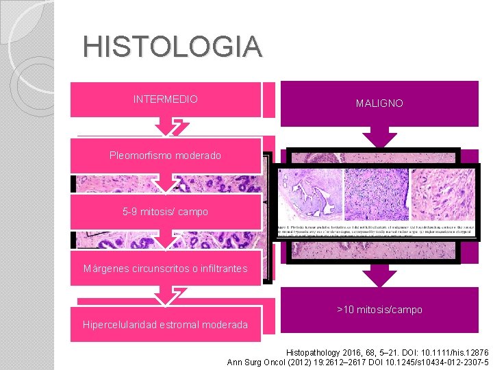 HISTOLOGIA INTERMEDIO BENIGNO MALIGNO Incremento del epitelio estromal Pleomorfismo moderado Marcado tejido estromal con