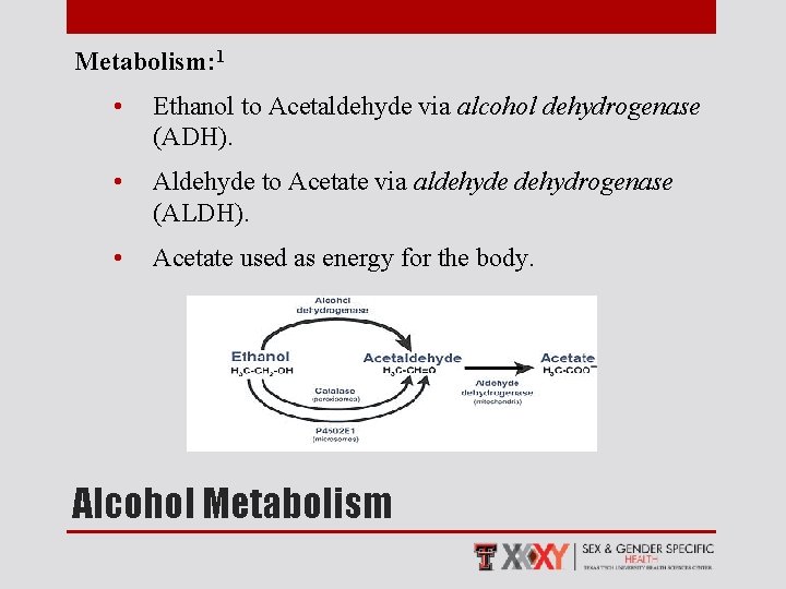 Metabolism: 1 • Ethanol to Acetaldehyde via alcohol dehydrogenase (ADH). • Aldehyde to Acetate