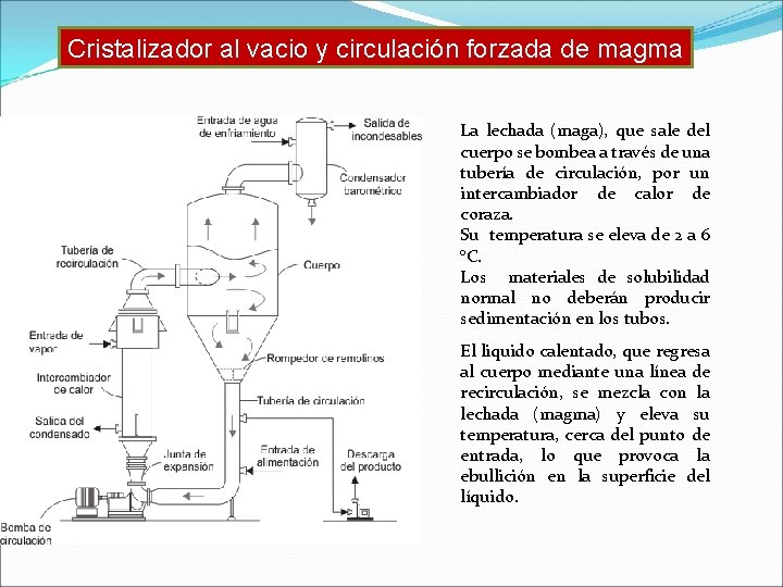 Cristalizador al vacio y circulación forzada de magma La lechada (maga), que sale del