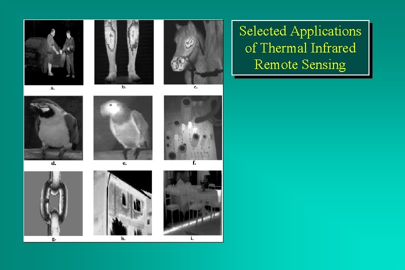 Selected Applications of Thermal Infrared Remote Sensing 