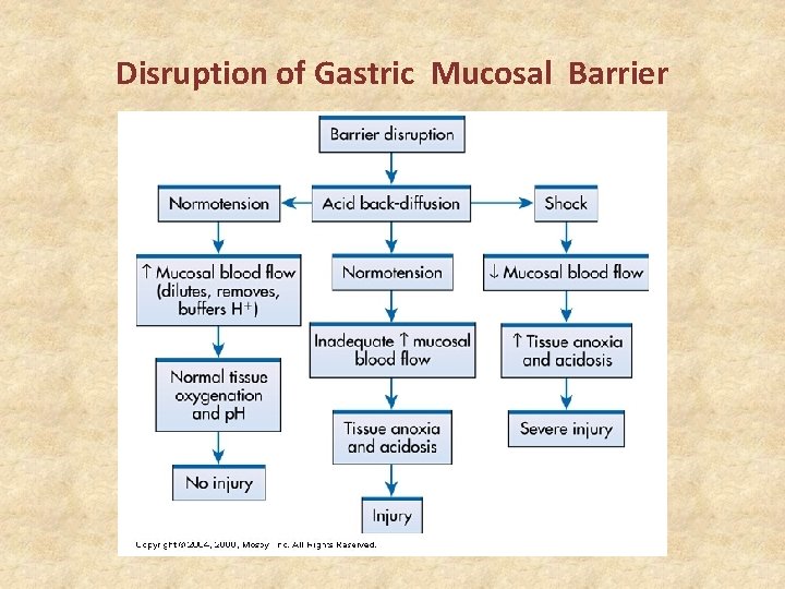 Disruption of Gastric Mucosal Barrier 
