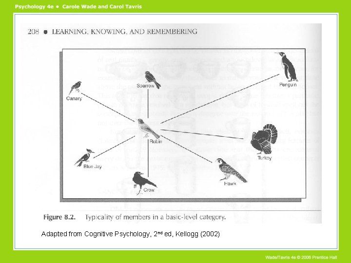 Adapted from Cognitive Psychology, 2 nd ed, Kellogg (2002) 