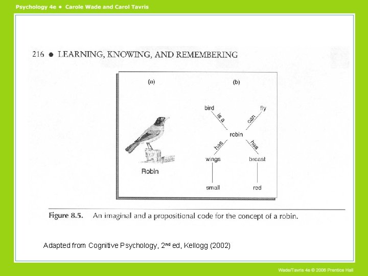 Adapted from Cognitive Psychology, 2 nd ed, Kellogg (2002) 