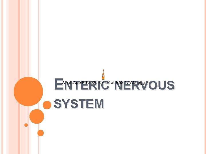 ENTERIC NERVOUS SYSTEM 