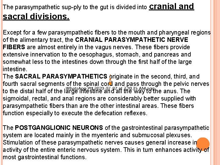 The parasympathetic sup-ply to the gut is divided into cranial and sacral divisions. Except