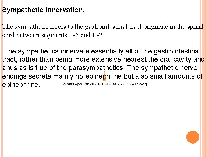 Sympathetic Innervation. The sympathetic fibers to the gastrointestinal tract originate in the spinal cord