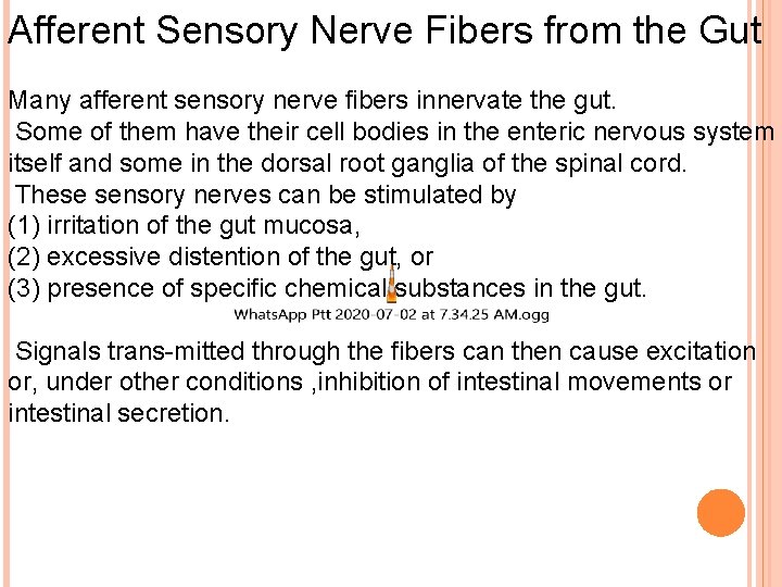 Afferent Sensory Nerve Fibers from the Gut Many afferent sensory nerve fibers innervate the