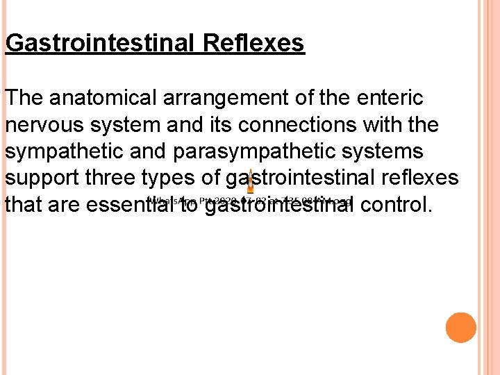 Gastrointestinal Reflexes The anatomical arrangement of the enteric nervous system and its connections with