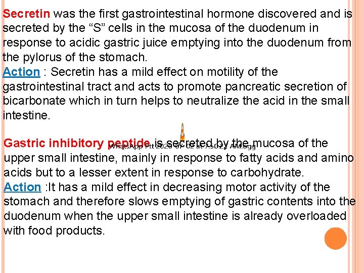 Secretin was the first gastrointestinal hormone discovered and is secreted by the “S” cells