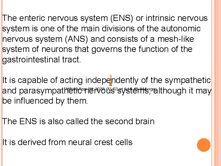 The enteric nervous system (ENS) or intrinsic nervous system is one of the main