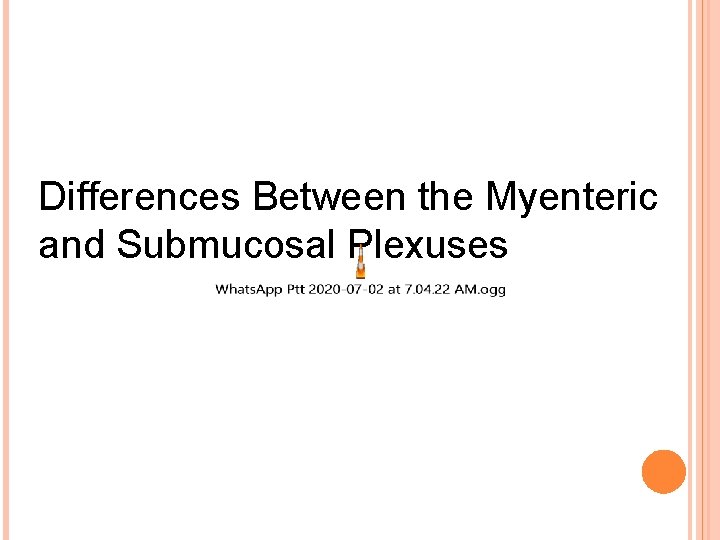 Differences Between the Myenteric and Submucosal Plexuses 