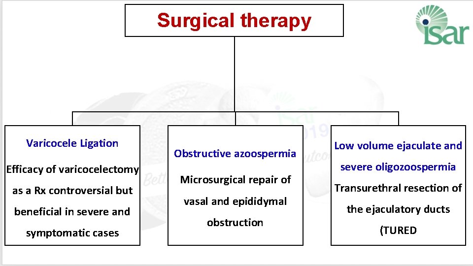 Surgical therapy Varicocele Ligation Efficacy of varicocelectomy as a Rx controversial but beneficial in