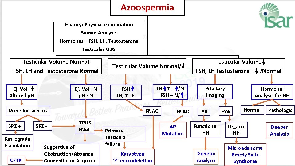 Azoospermia History; Physical examination Semen Analysis Hormones – FSH, LH, Testosterone Testicular USG Testicular